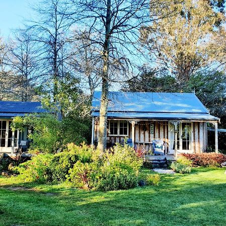 Bumblebee Cottage Greytown Εξωτερικό φωτογραφία