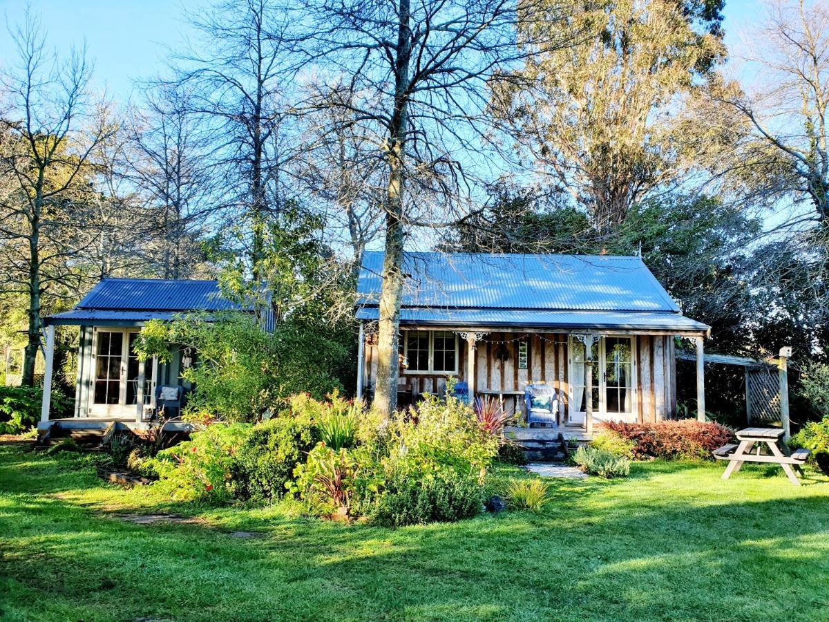 Bumblebee Cottage Greytown Εξωτερικό φωτογραφία